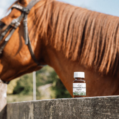 Seasonal Itch Support – Natural Skin Support for Horses in Midge Season