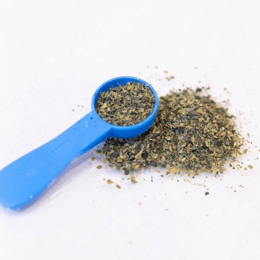 contents of seaweed for dogs in a spoon