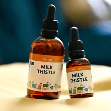 "Milk Thistle tincture bottles for dog liver support and health"