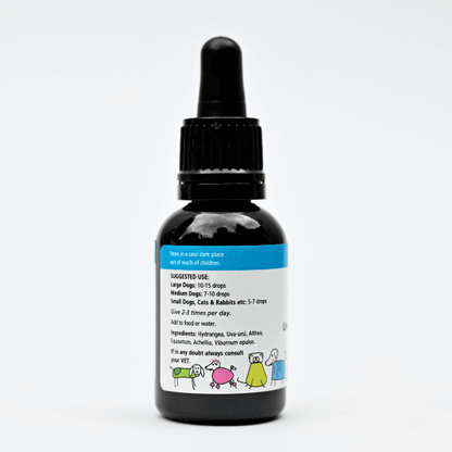 Aqua Herbal Remedy for Dogs bottle with dropper and label showing ingredients and usage instructions for urinary discomfort relief.