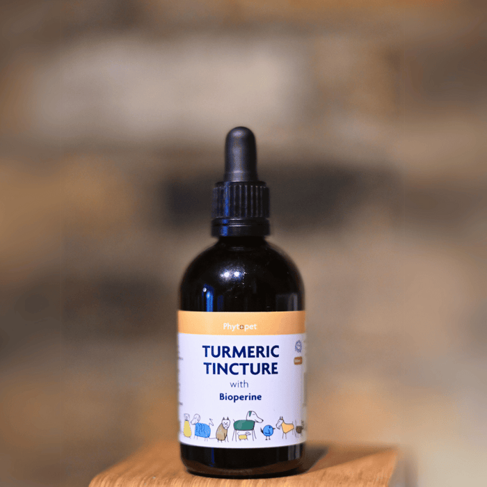 Turmeric for Dogs with Bioperine