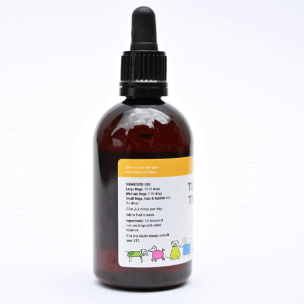 "Turmeric tincture for dogs with dropper bottle, enhances absorption, easy to use liquid formula with no mess or stains"