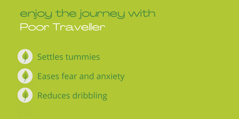 Poor Traveller travel sickness tablets for dogs settle tummies, ease fear, and reduce dribbling for a smooth journey.