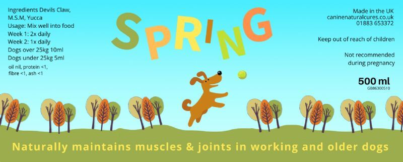 Cartoon dog playing under the word "SPRING" promoting joint supplement for dogs with natural ingredients like Devil's Claw and MSM.