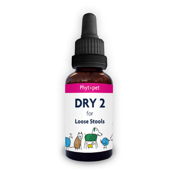 Dry 2 Herbal Remedy for Dogs with Loose Stools