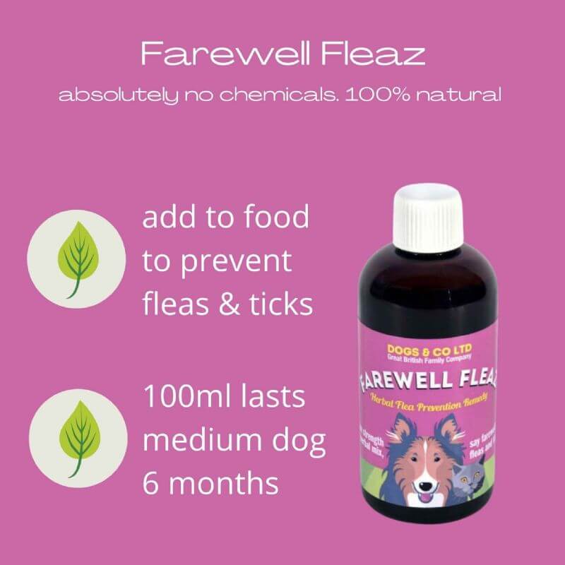 Farewell Fleaz natural flea treatment for dogs, 100ml bottle, prevents fleas and ticks, 100% chemical-free herbal formula.