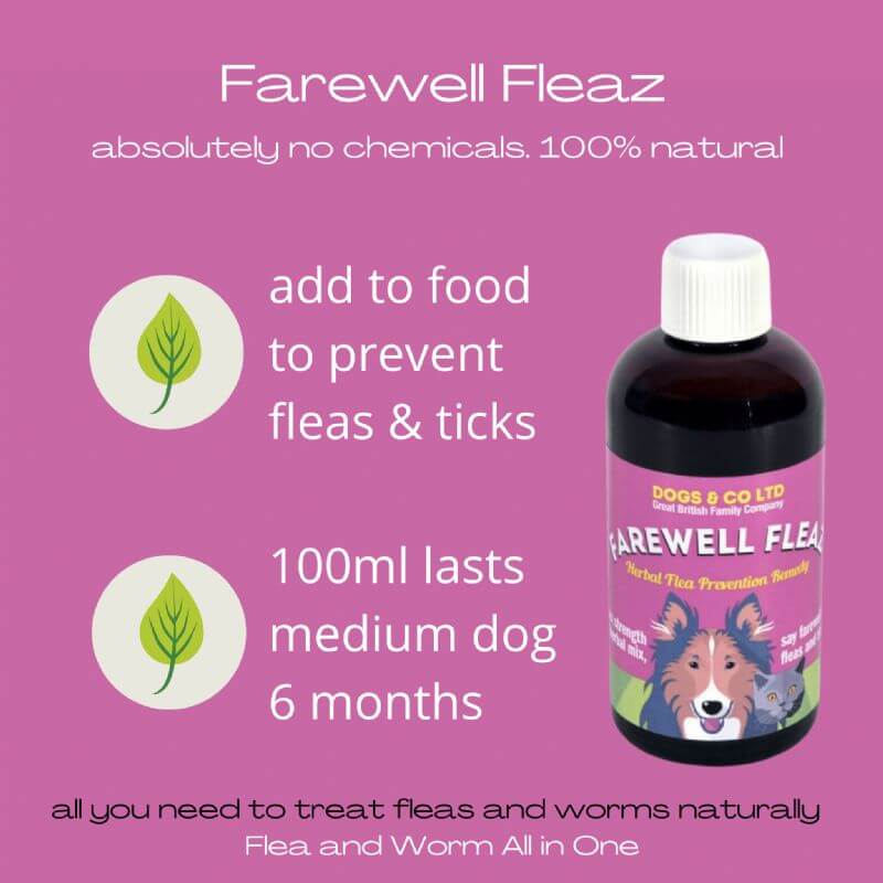 "Farewell Fleaz natural flea prevention for dogs, 100ml bottle, treats fleas and ticks, part of Flea and Worm All in One pack."