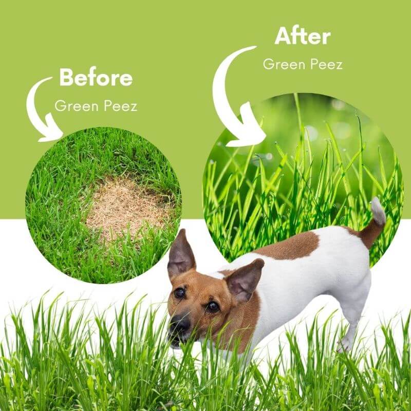 Before and after photo 