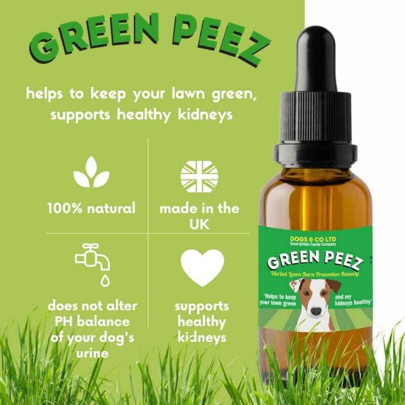 Green Peez 100ml: Dog urine grass repair. Neutralise dog urine grass.