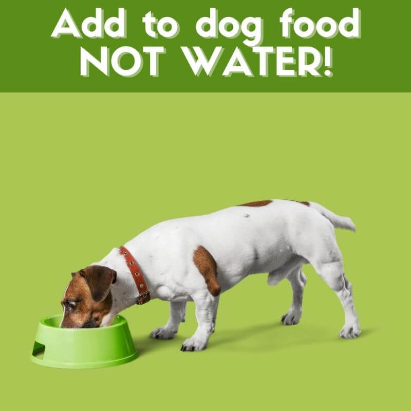 Green Peez in dog food