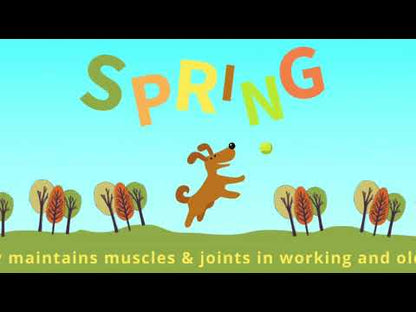 Spring Joint Support Video