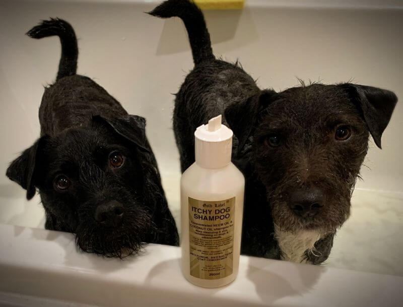 Two dogs in a bathtub with Itchy Dog Shampoo, ideal for sensitive skin and allergies, featuring neem and coconut oil.