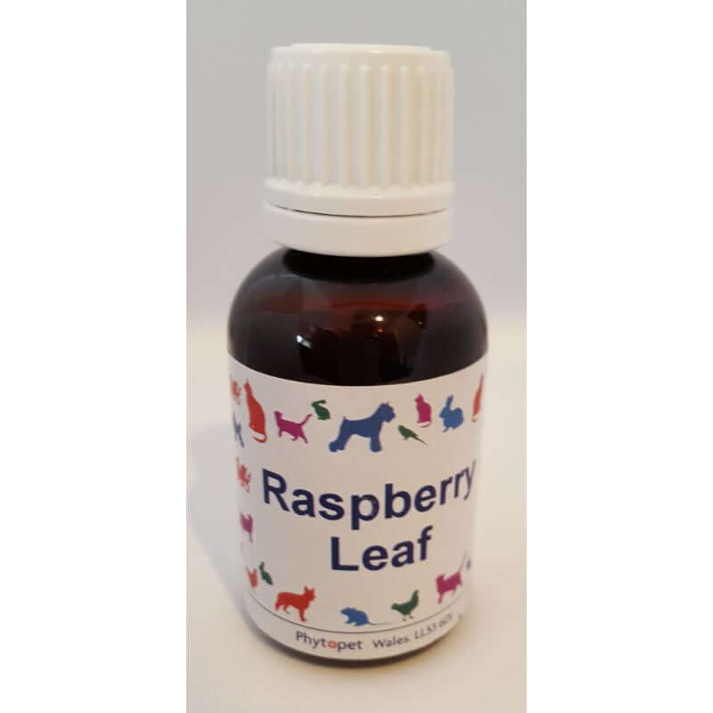 Raspberry Leaf Herbal Supplement 30ml bottle with colorful animal design.
