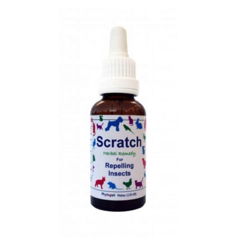 Herbal remedies top for fleas