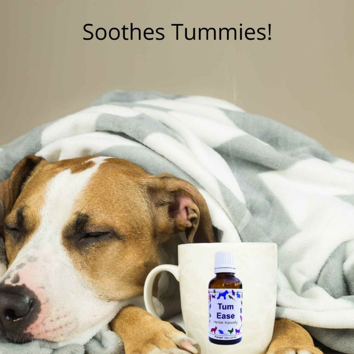 Tum Ease Herbal Digestive Aid for Dogs